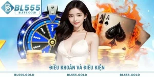 Điều Khoản Và Điều Kiện Cập Nhật Chi Tiết Tại BL555