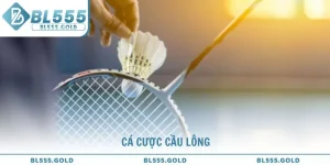 Cá cược cầu lông cách chơi và mẹo thắng lớn tại BL555