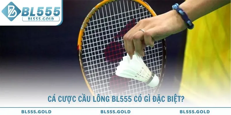 Tìm hiểu cá cược cầu lông BL555 có gì đặc biệt?