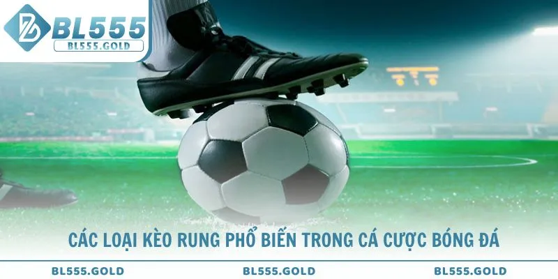 Khám phá các loại kèo rung phổ biến tại BL555