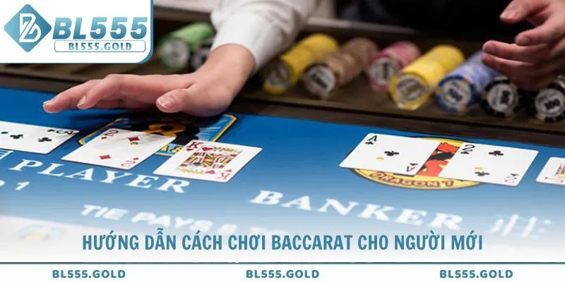 Chuyên gia BL555 hướng dẫn cách chơi Baccarat cho người mới bắt đầu