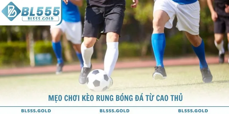 Mẹo chơi kèo rung bóng đá từ cao thủ hàng đầu của BL555
