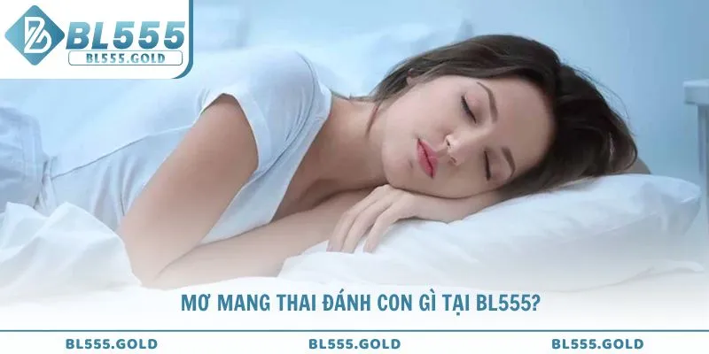 Tổng hợp mơ mang thai đánh con gì tại BL555?