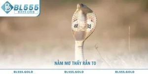 Nằm mơ thấy rắn to là điềm gì và con số nào sẽ may mắn?
