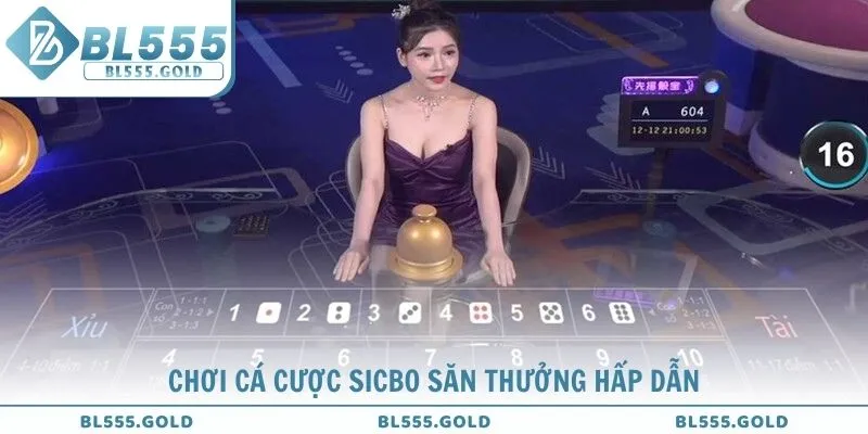 Chơi cá cược Sicbo săn thưởng hấp dẫn